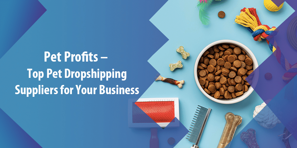 The Top 16 Best-Selling US Dropshipping Products of 2023